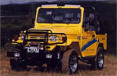 A série especial Sport marcou a despedida do Bandeirante em 2001, após 39 anos e 103.750 carros produzidos A série especial Sport marcou a despedida do Bandeirante em 2001, após 39 anos e 103.750 carros produzidos